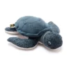 National Geographic Peluche Moyenne Tortue Verte 1 National Geographic Peluche Moyenne Tortue Verte -Disney 412303312887