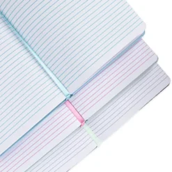 Lot De 3 journaux Walt Disney's Disneyland, Disney100 Eras -Disney 466043802443 4